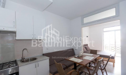 Квартира 1-комн 50 м² - Шерифа Химшиашвили, Батуми