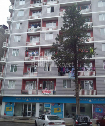 Квартира 3-комн 47 м² - Фридиона Халваши, Батуми