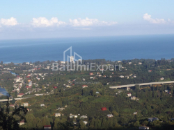 Частный дом 5000 м² - Мезгваурта, Чакви, Грузия