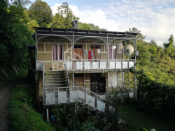 Частный дом 4-комн 2501 м² - Акаки Шаинидзе, Хелвачаури