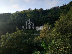 Частный дом 4-комн 2501 м² - Акаки Шаинидзе, Хелвачаури