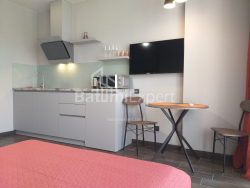 Квартира 1-комн 31.3 м² - Шалва Инасаридзе, Батуми