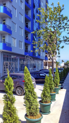 Квартира 30 м² - Шерифа Химшиашвили, Батуми, Грузия