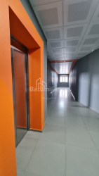 Квартира 48 м² - Шалва Инасаридзе, Батуми, Грузия