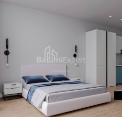 Квартира 1-комн 30.3 м² - Шалва Инасаридзе, Батуми
