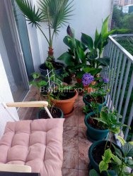 Квартира 1-комн 31.8 м² - Ангиса, Батуми