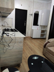 Квартира 2-комн 29 м² - Шалва Инасаридзе, Батуми