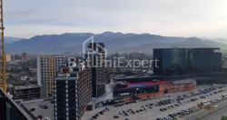 Квартира 1-комн 50 м² - Шерифа Химшиашвили, Батуми