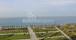 Квартира 1-комн 172.5 м² - Леха и Марии Качинских, Батуми